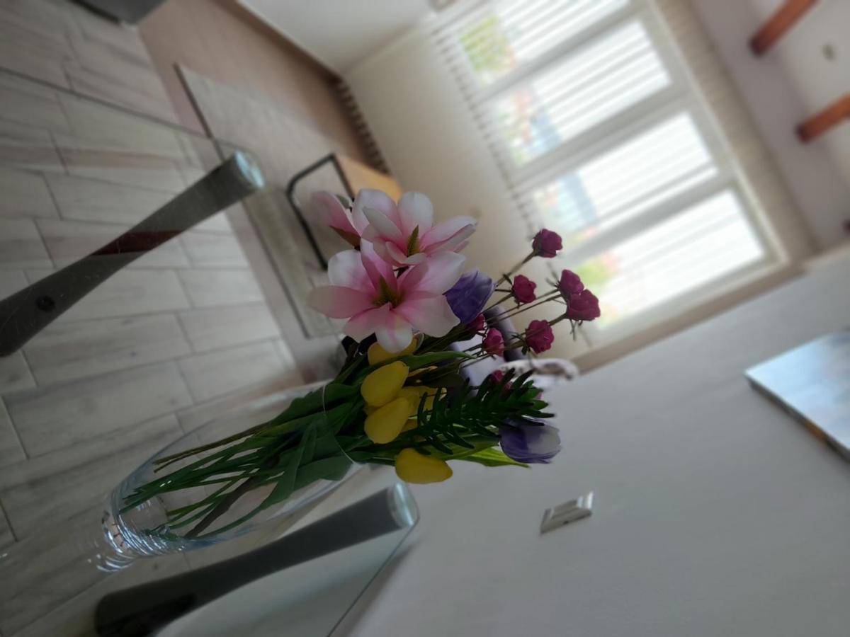 Apartments Adria Ядрия Екстериор снимка